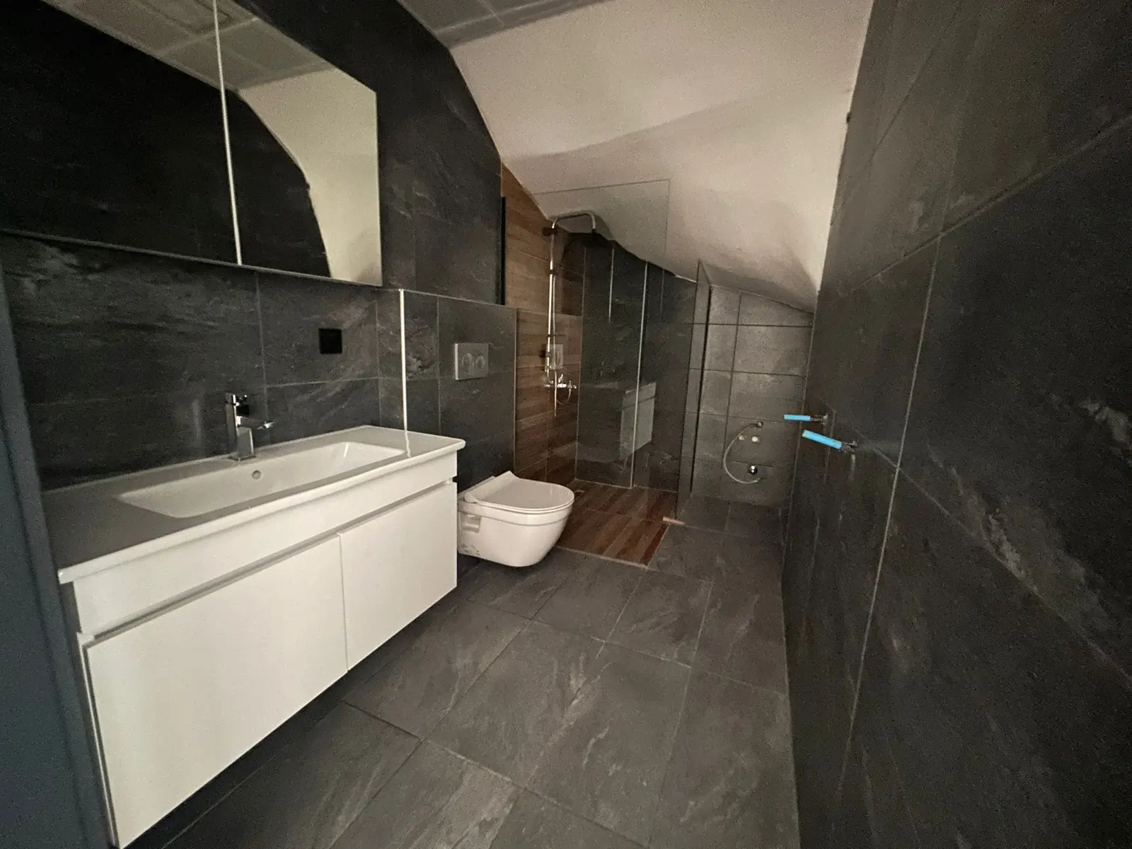 Bathroom area